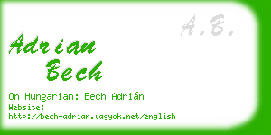 adrian bech business card